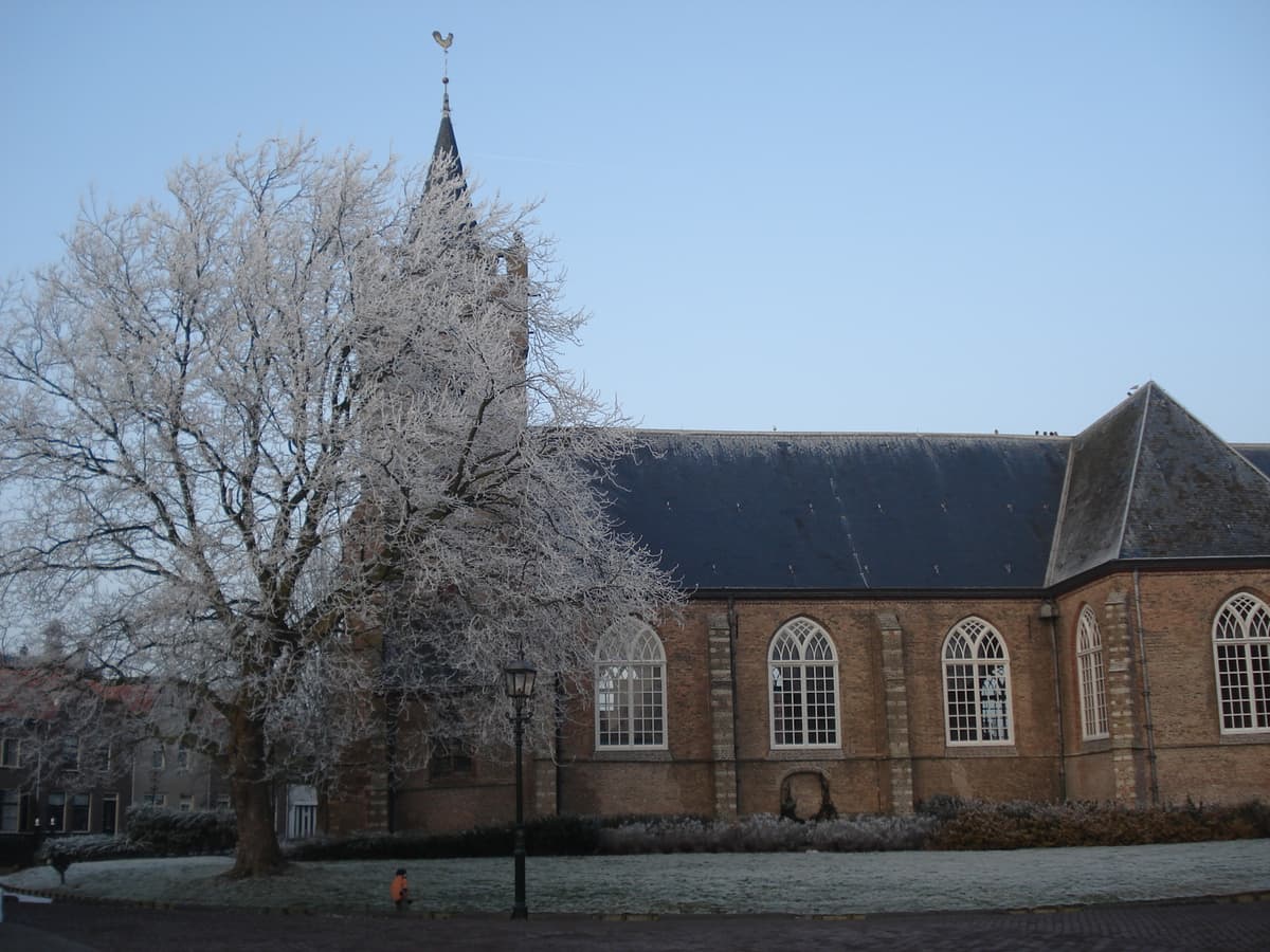 Nieuwe-Tonge