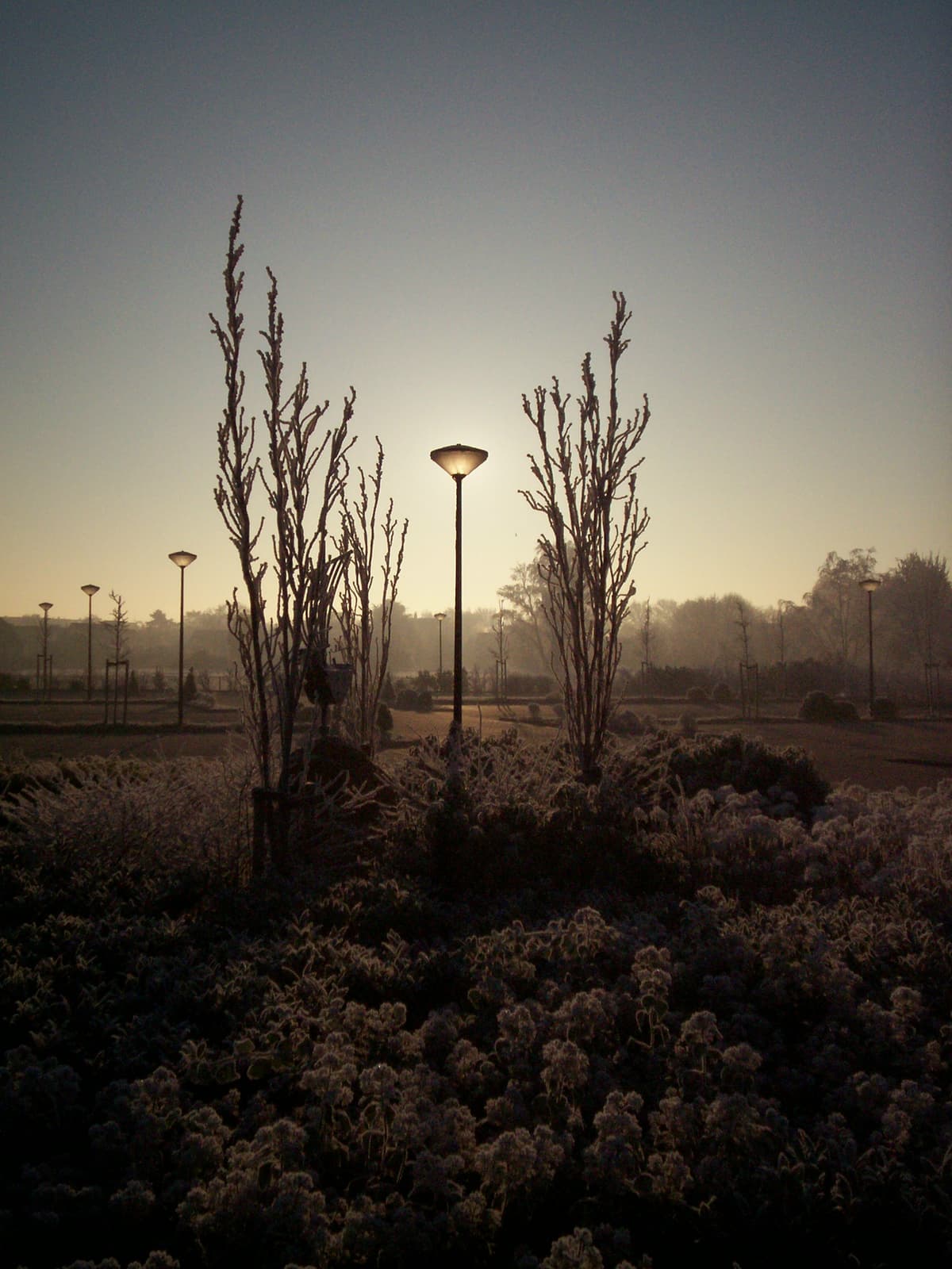 Dirksland