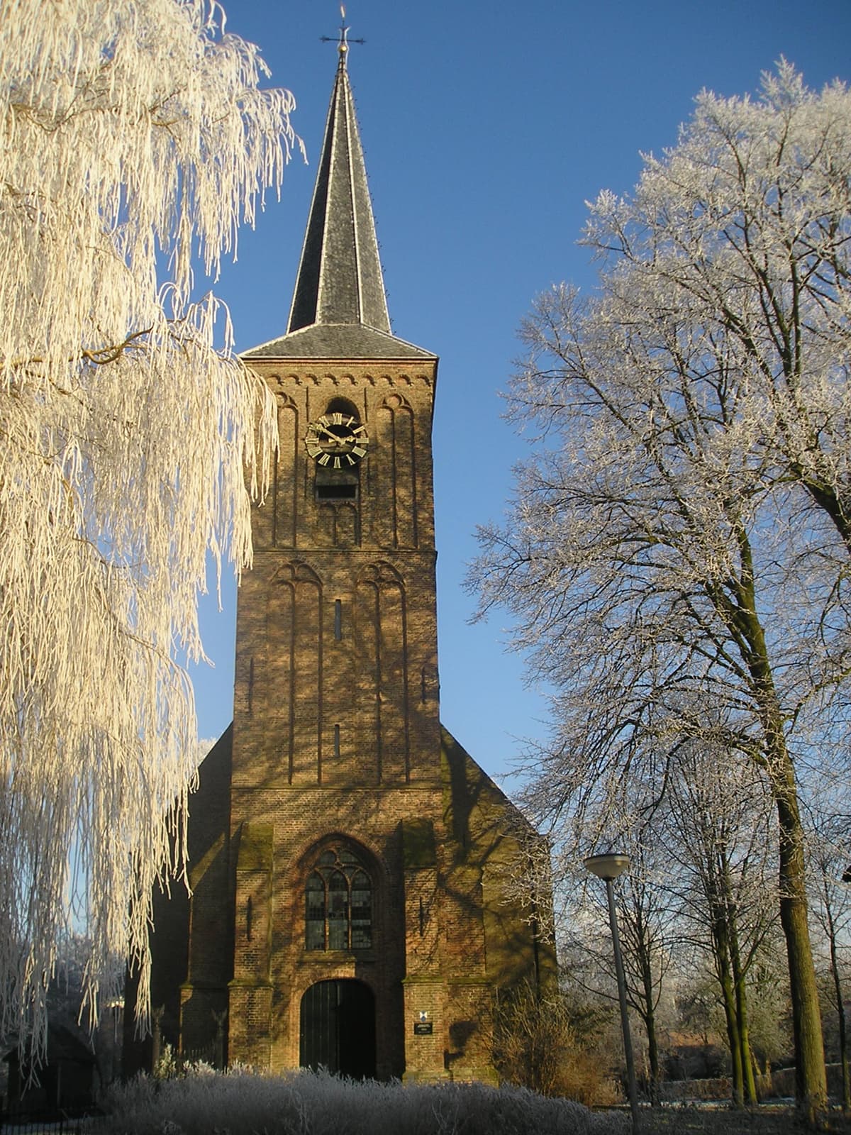 Berkenwoude (wijk 2)